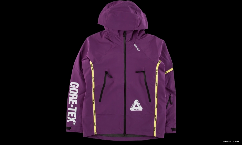 Affordable Palace Gore-Tex Palex Jacket 0824